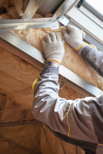Professional Insulation Contractor in Lake Ozark, MO